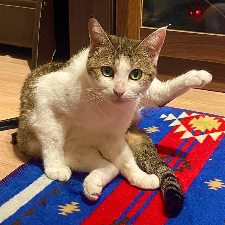 138cf833 57ac 4ecc 9232 36f9b657e1be 1629712141180