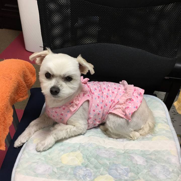 138d0812 f200 47da 8006 b0f701bea239 1554980482476