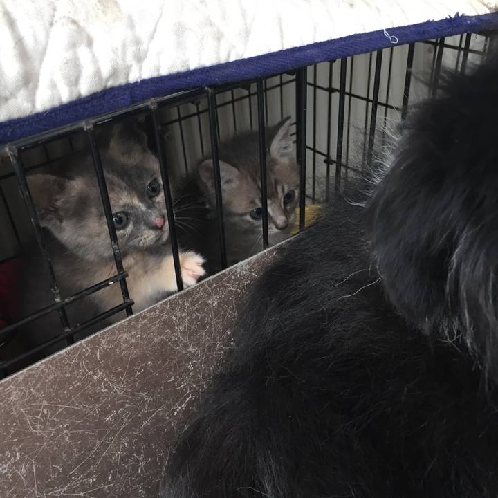 138d0f32 1eef 41d9 889b f8926cc7a452 1571875772974