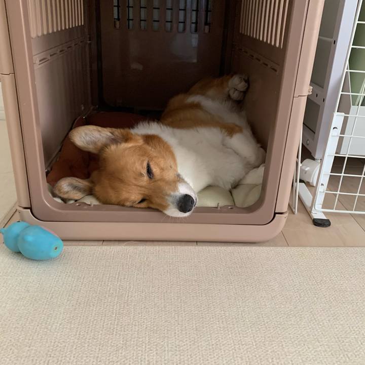 138d3088 cc63 445d 9865 607812b40530 1695010975991