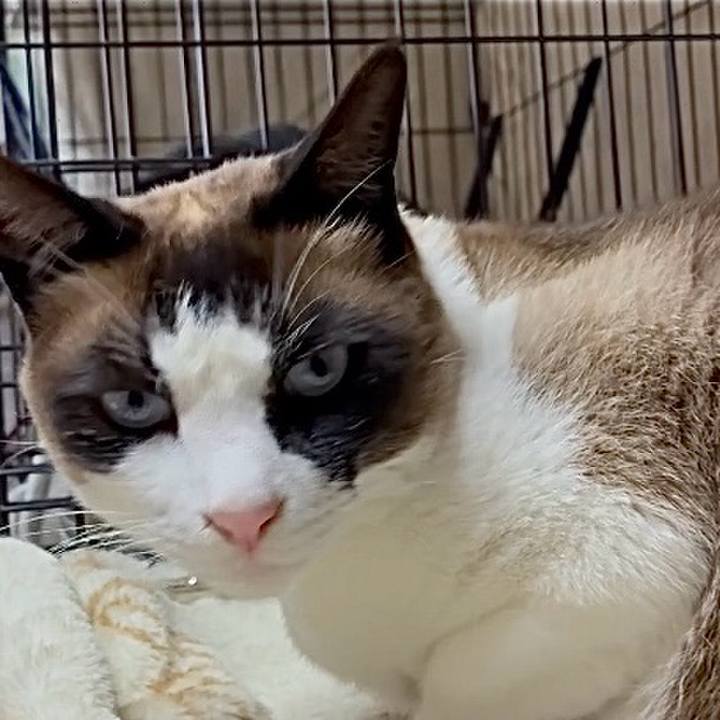 138d3429 07dc 4d5b a971 75d355308c80 1748339790615