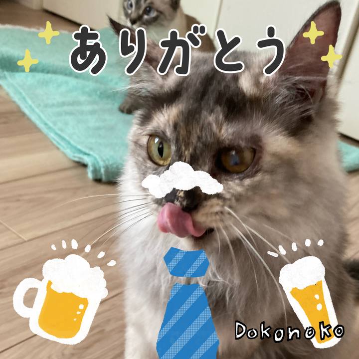 138d55e8 71c8 4e49 96ca 01685e4879f1 1717556304877