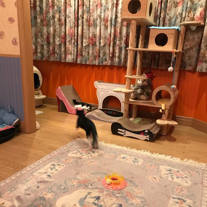 138d66a7 12fa 4f7a a0ab 0e47f8409e1c 1513179668262