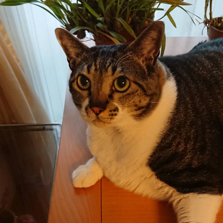 138d735f 4e16 4397 a200 8983b7689a44 1521156634611