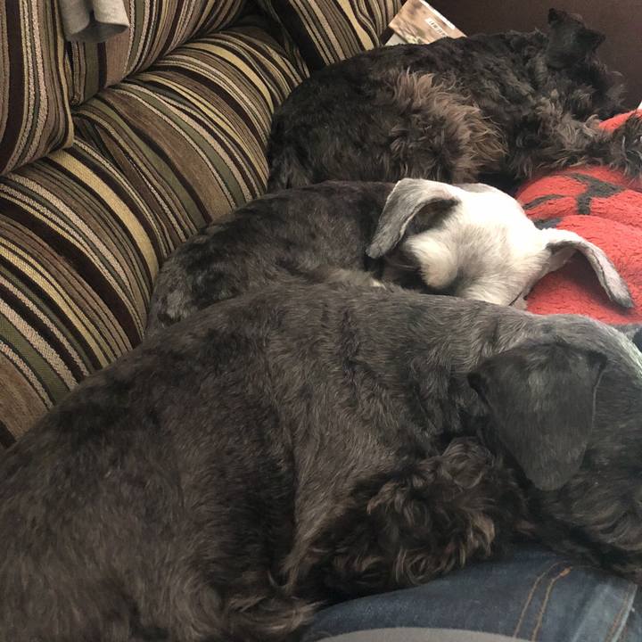 138d771f 7c26 4147 92e1 09346d022dc0 1520747341043