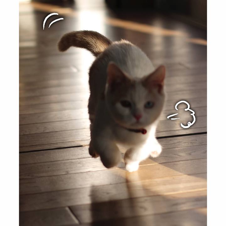 138d78e2 b79f 4f48 b2ff ba09c4e1b9f6 1574077187125