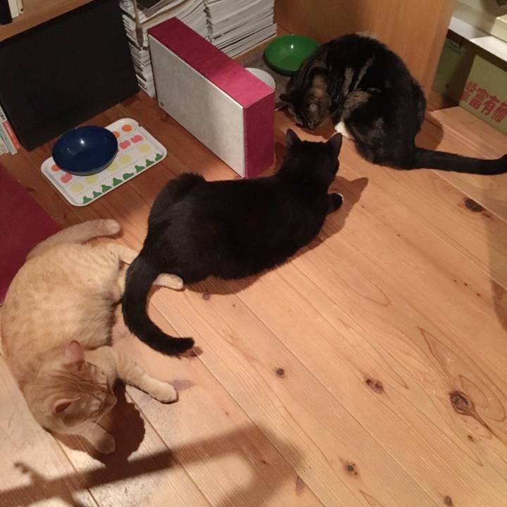 138d9f83 523c 481b 9d86 ab090ca78807 1532900375720