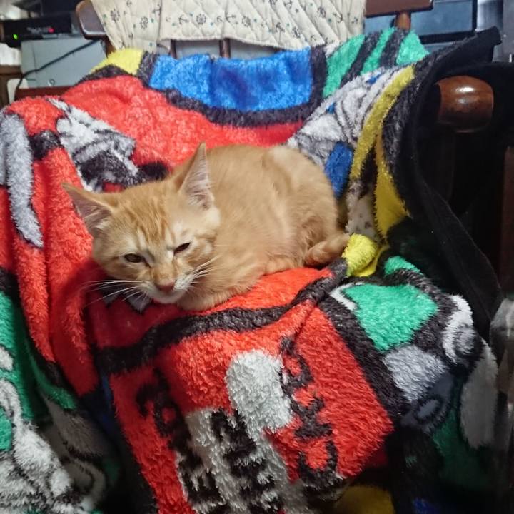 138dc96a f03b 4f19 8abe e4ed4199a121 1631426101061