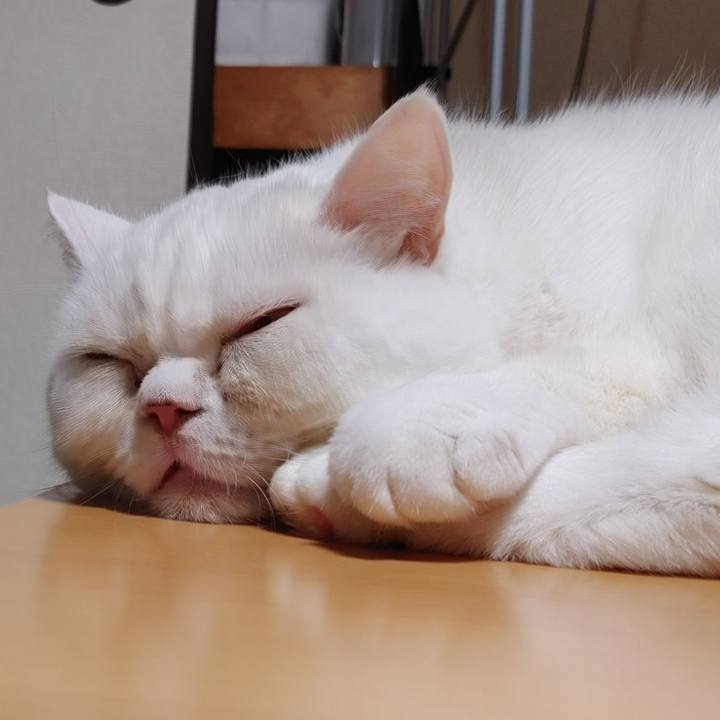 138dcbf6 63d3 49fb a1ac 9183d2cd71df 1663413699562