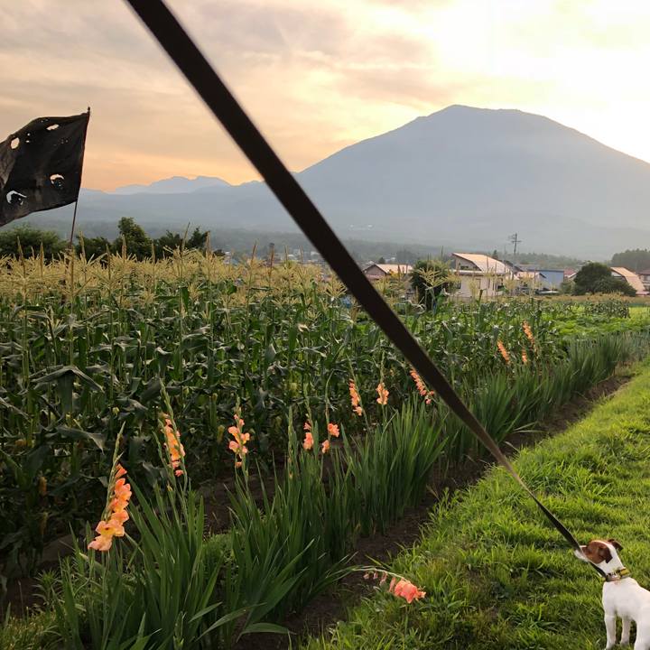 138dd0bc d91b 4eb3 8301 f1b3c9bbfab8 1532525293191