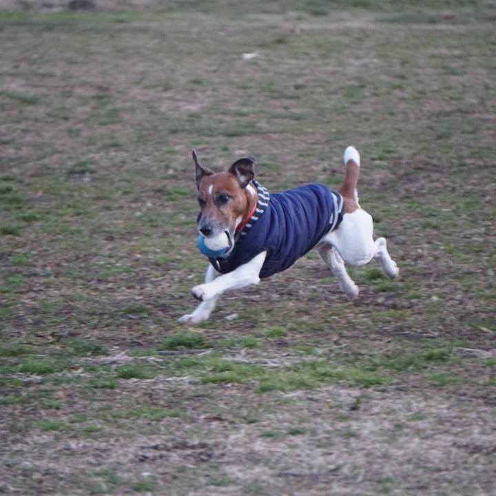 138e1c6c d392 46bd bc67 26ad46cb88e6 1583190882360