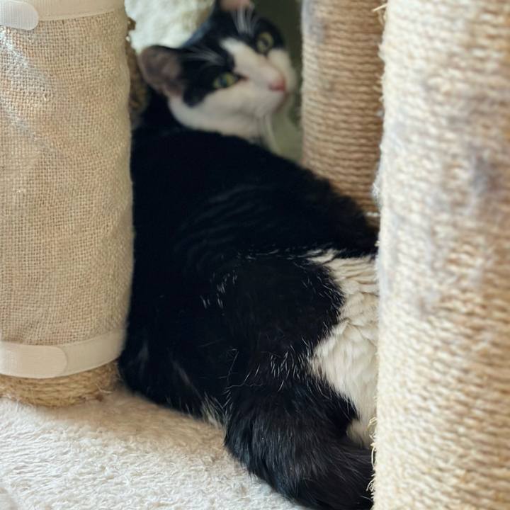 138e1e68 381c 4bc9 ac8a 6dfaacc94778 1724630719314