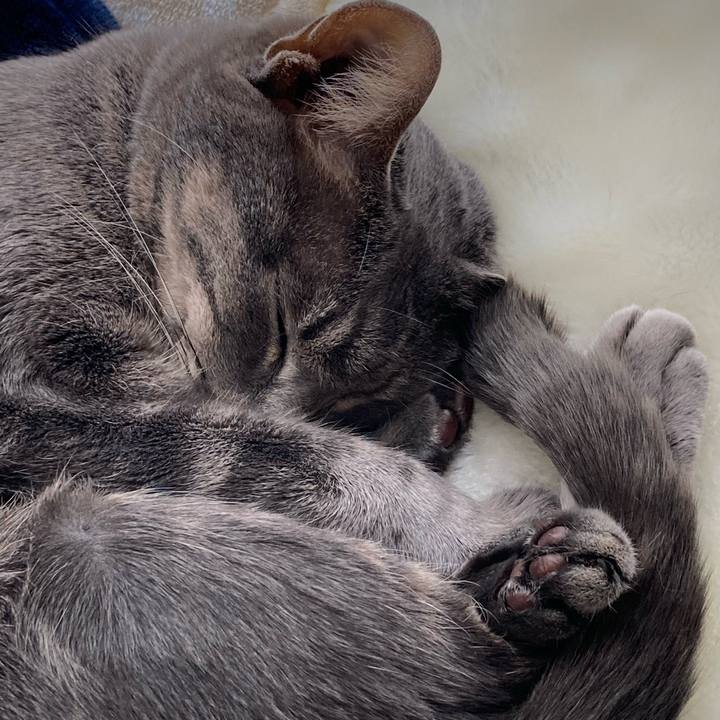 138e448b 0d37 4e8b 89cc 0a55b54d28f8 1642724463671