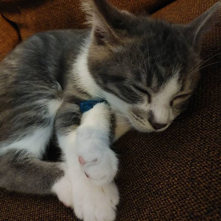 138e5728 227f 4757 80f9 552b64ab958b 1563257403196