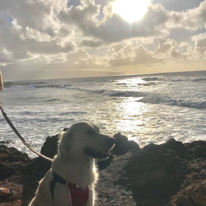 138ec53d 3211 4af1 85cf c133f8dd217c 1550389043332