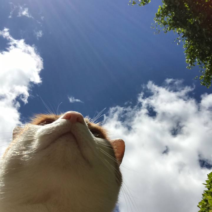 138ed40c 0fa1 451a 83f6 799db79f2d07 1527142817231