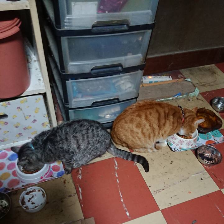 138f90ef 1212 4383 a682 23db363f537e 1574279710793