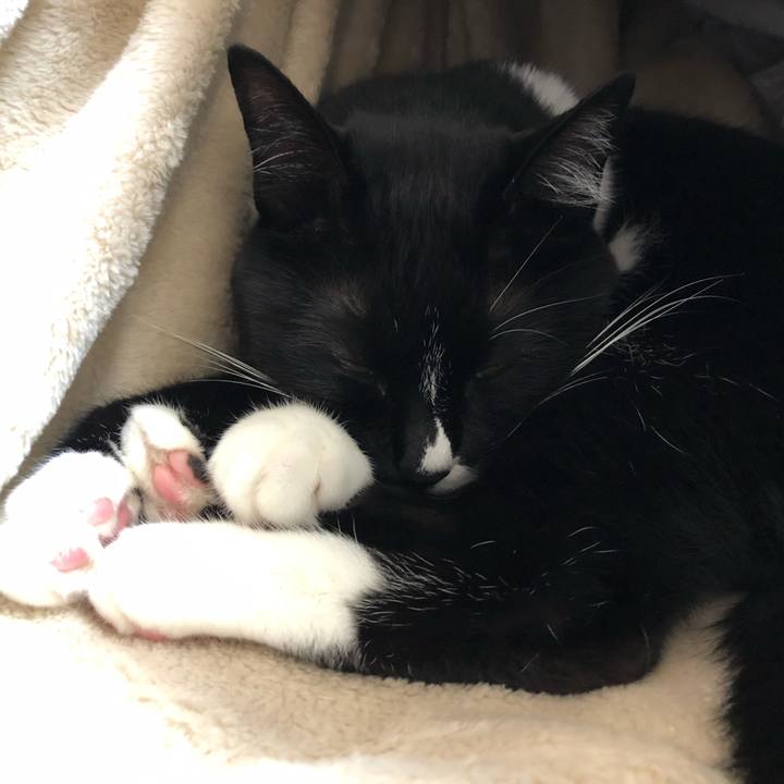 138f9ce2 9411 46be bb34 c2c8c677a6b8 1546056349668