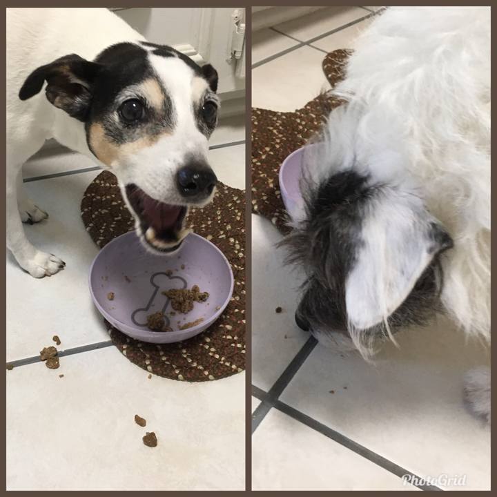 138fc8c0 548c 4e78 866d 855ddacf811e 1547331064295