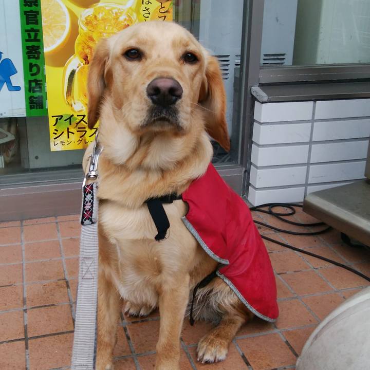 138fcffd 7b68 4600 9fdb fee2d623ece9 1521581017475