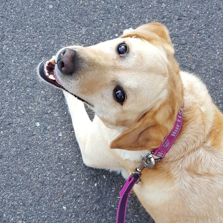 13904598 f76a 4470 9e3f ea8048dd8dc8 1528080786853