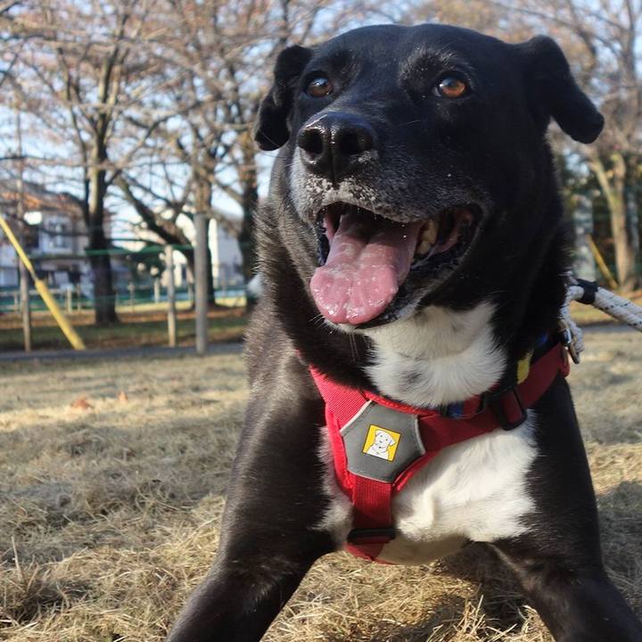 13904c95 d3ab 4f2d 9bb9 b96a9e672647 1668043314838