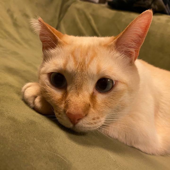 13907a7c 74af 401a a46e 206475783b27 1697355918502