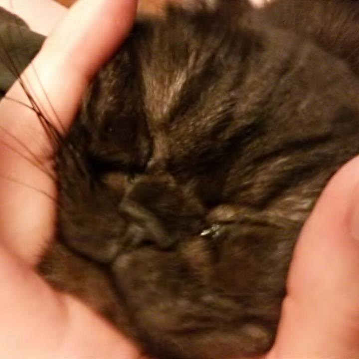 139085f5 b4cc 4b88 92f6 9c12bb73ebef 1544857318908