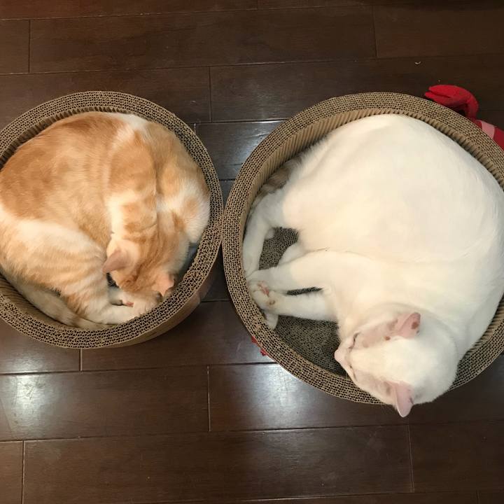 1390c1c9 b27d 4250 8a93 0bfc4b7323be 1537971451091