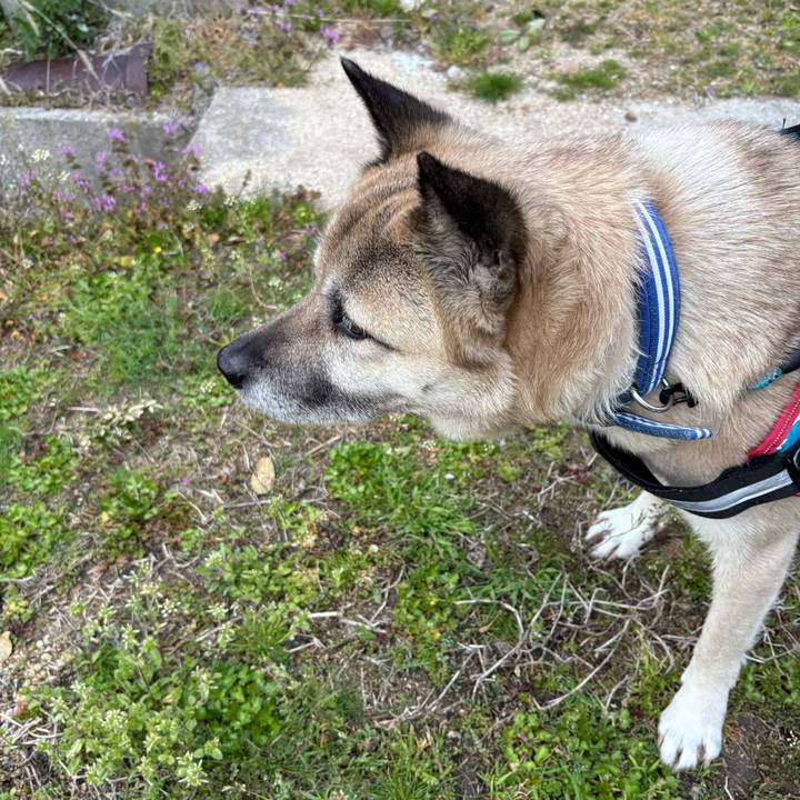 1390d55b 8e69 458c 95cf 33f35053f276 1742818287759