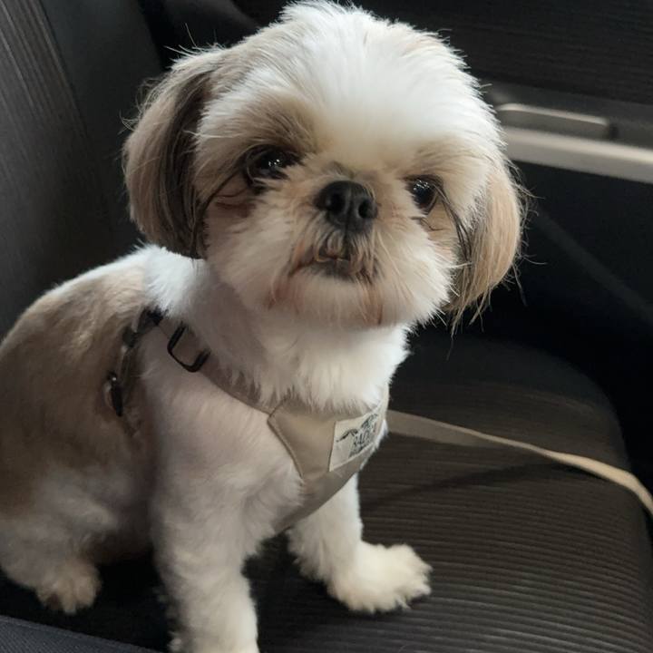 139136a5 93d5 4e26 aea1 2a6f97c625fe 1716811921316