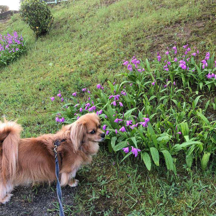 13914876 a3c3 4a81 8dae 5f54c39f0582 1557871473776