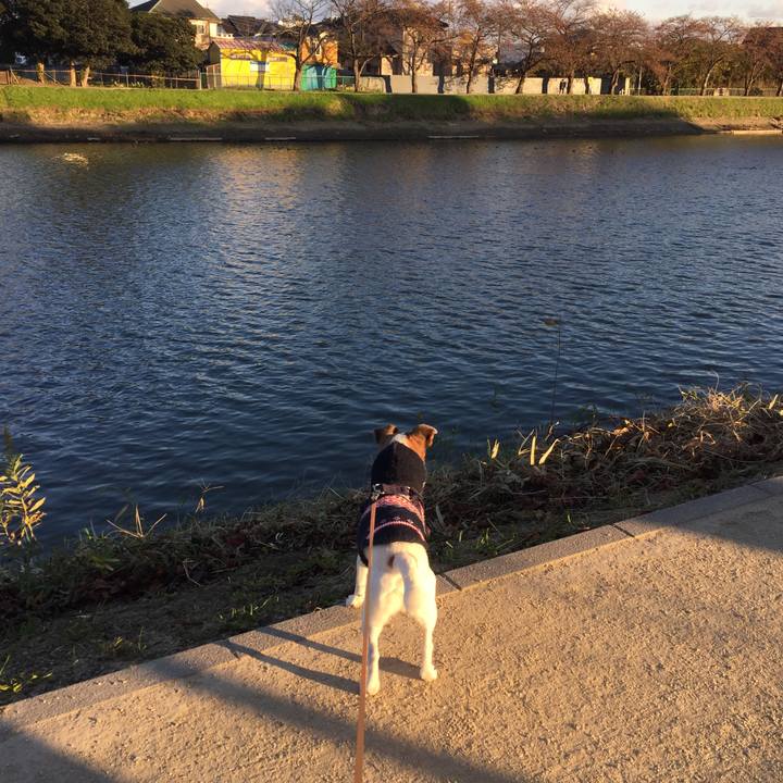 13915f8a 2e54 413f a18e 20af20e959e8 1512387792380