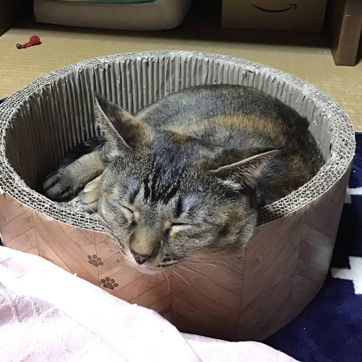 13916390 b8b0 48c8 965e 294205a4d56f 1704361811313