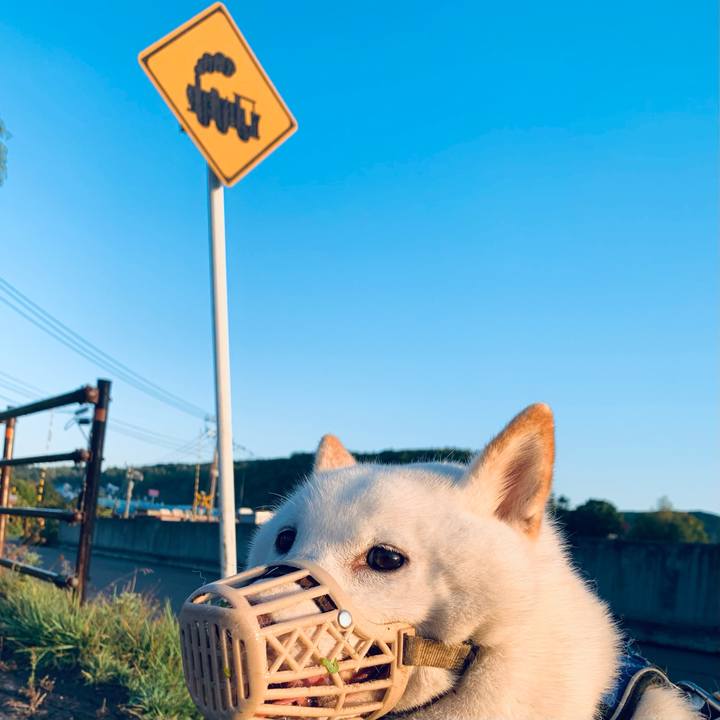 1391a2bd 4954 4837 9889 3fb2576718d4 1633041143049