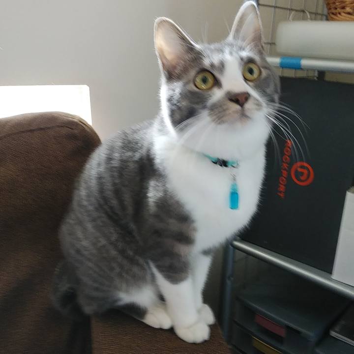 1391c11a 8821 446d 8833 0d89173d73ac 1586561665948