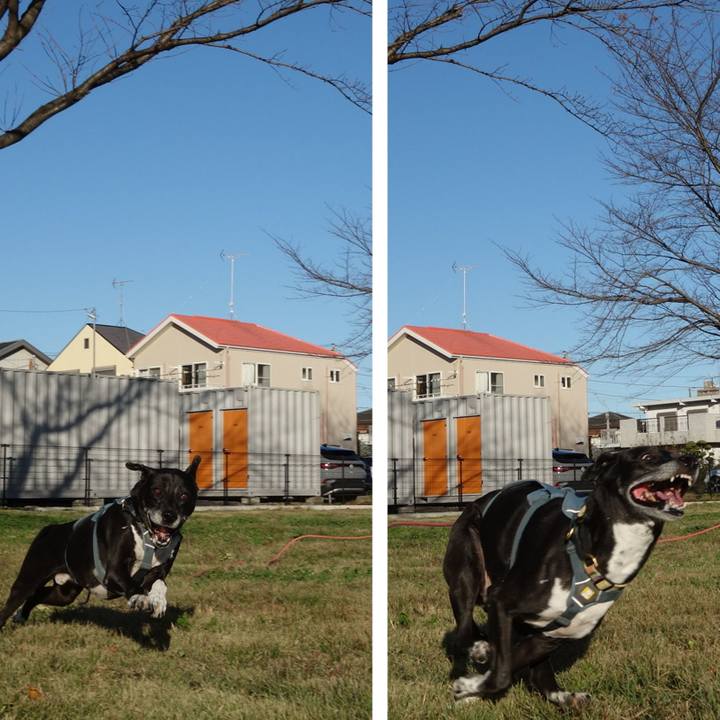 1391c166 f700 4ab4 bafe 9cba8ed5d01a 1731977742343