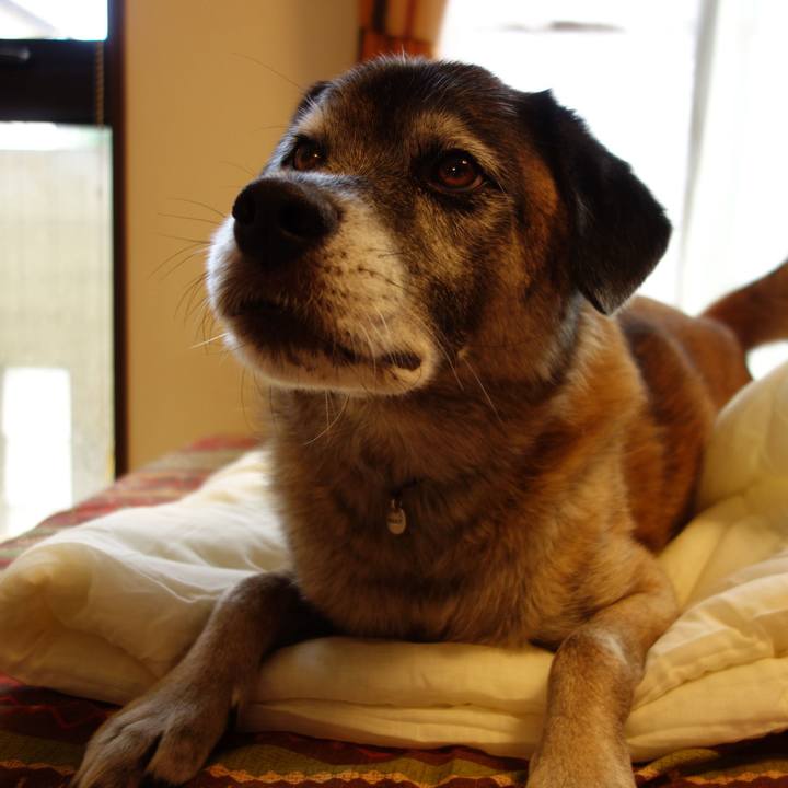 1391d545 b595 40ef 89de e12056801985 1617498122084