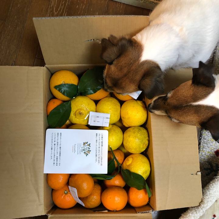 13926837 a209 4ac1 8373 da8491ab639d 1645542538772