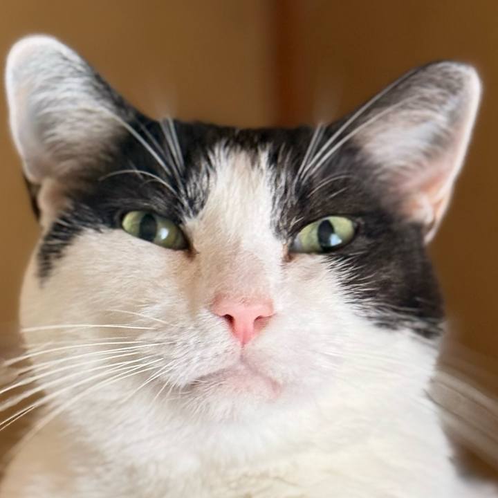 13926dbb 51e7 4362 9d58 cd4de2bb7867 1753147678826