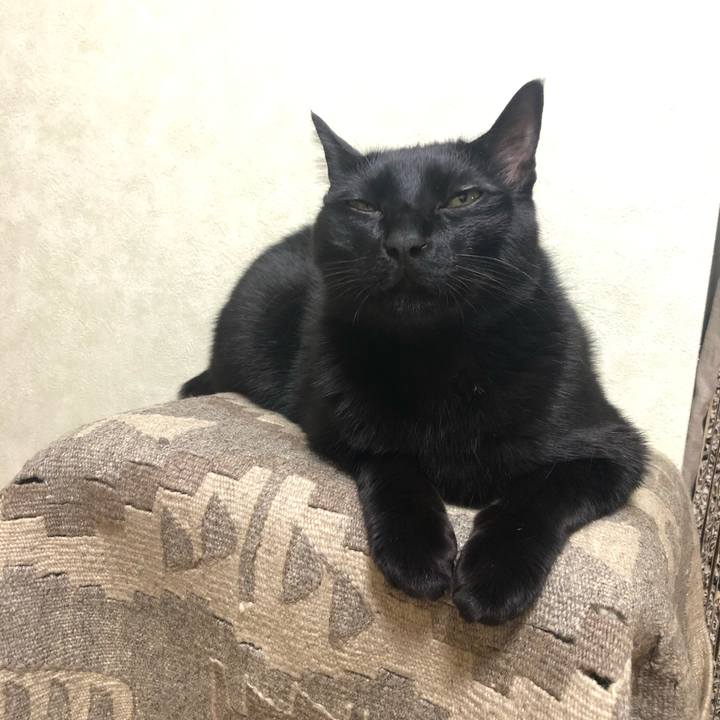 1392759a 0451 4ad2 9e1d 4d5e5ad6ab3e 1557539810364