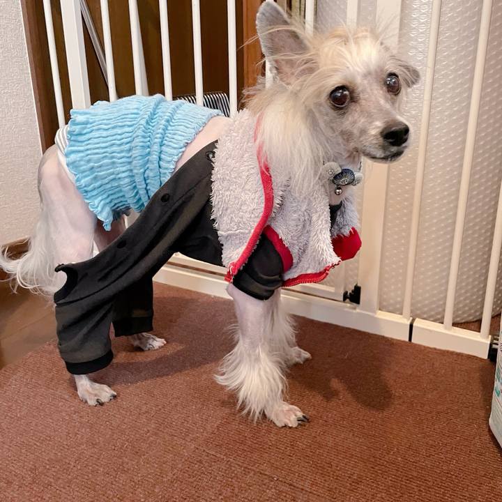 1392907e 6b41 43ec 8c43 f85ad72b6421 1772603568395