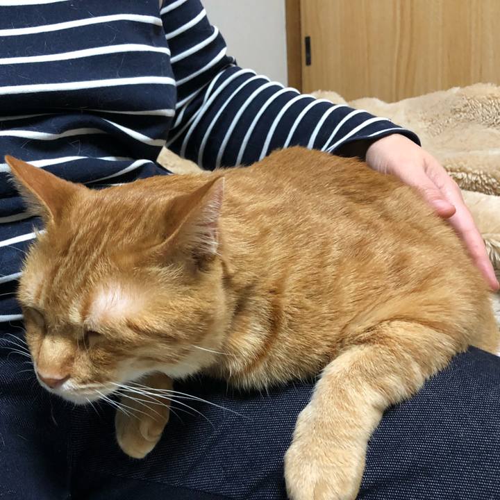 1392df39 2009 4c59 b09a c594ef44e5cc 1583072662892