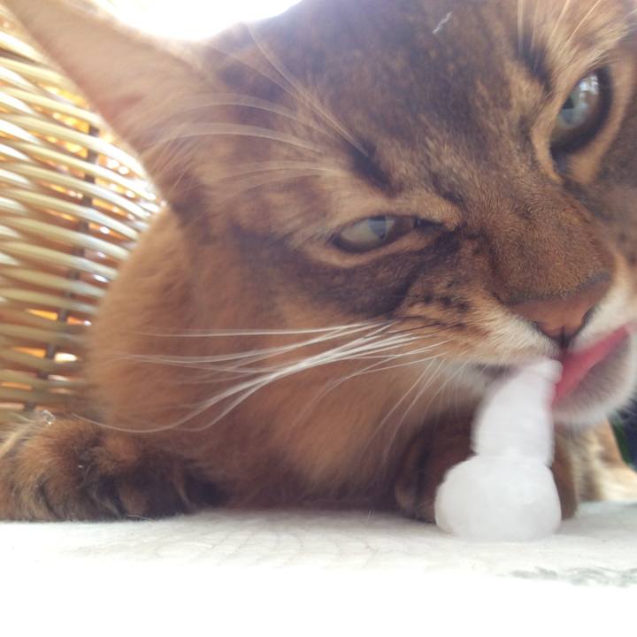 1392f8a4 b63d 4be6 af29 42783b6bc74b 1609374637553