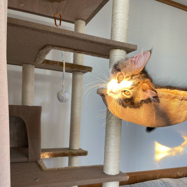 139332ef 3ae5 4236 93ba fcf22977b3fd 1632519491871