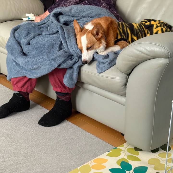 13933b07 1521 42ed 9db6 c99890aacbea 1770277779900