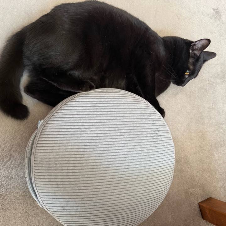 13936f42 6e81 490e 801b ddece9086301 1772665102515