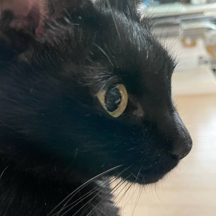 139382b1 6d2e 4a7c 8fe1 163cd039e51c 1695454000298