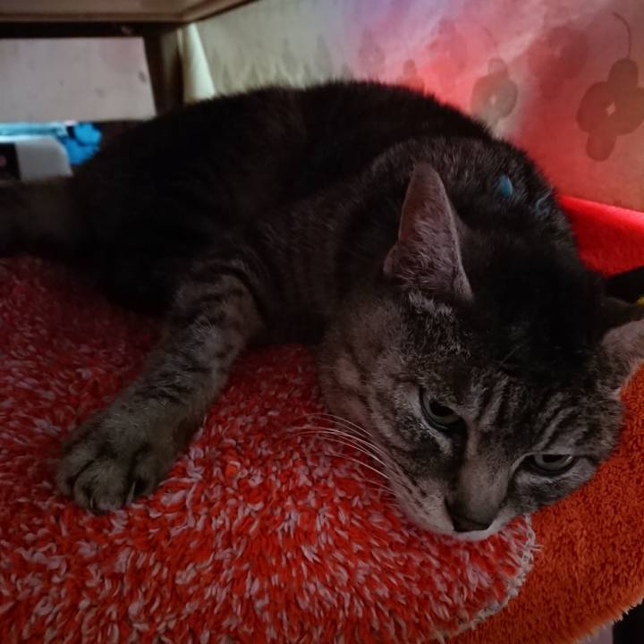 1393d00a 00f5 40c5 b0b1 aceed24d11a4 1553677054334