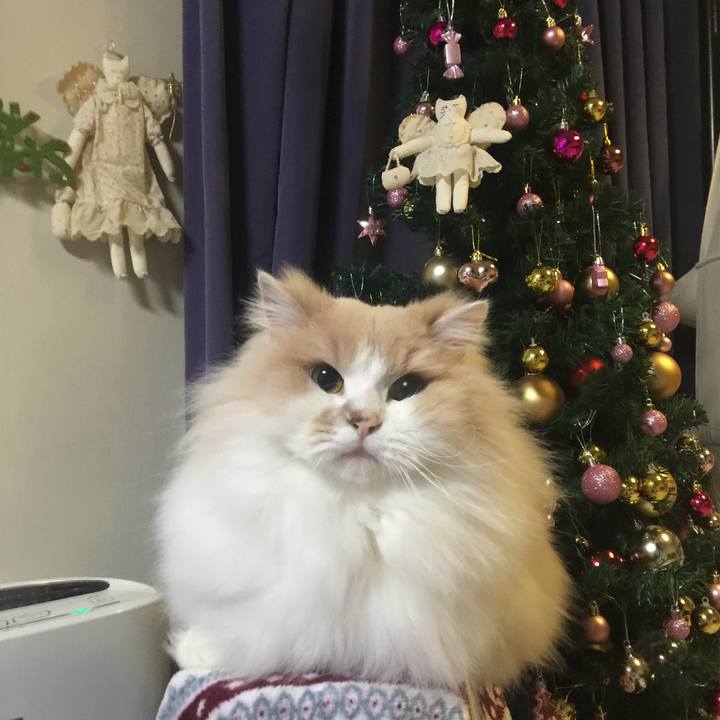 1393dc66 a40b 49cb 9c6f 10d489659ce6 1545654141282